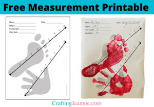 Measurement Activity for Preschoolers (Free PDF)
