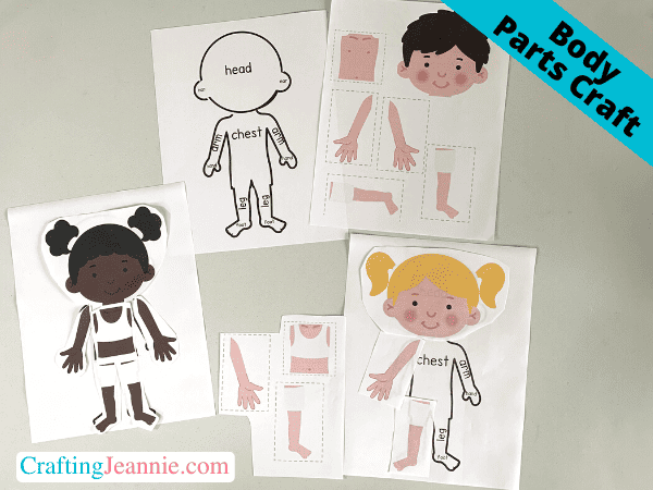 Body Parts Craft