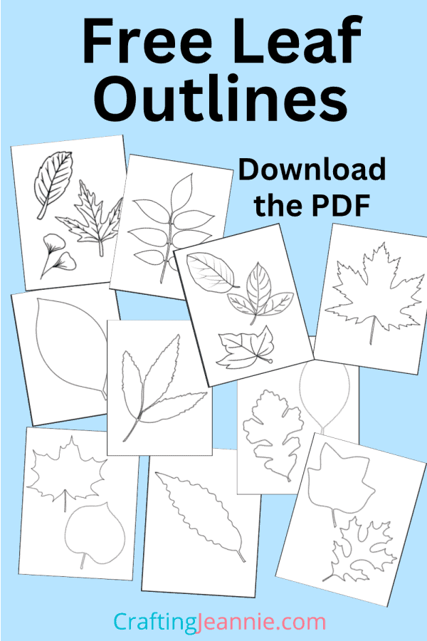 leaf outline image for Pinterest by Crafting Jeannie