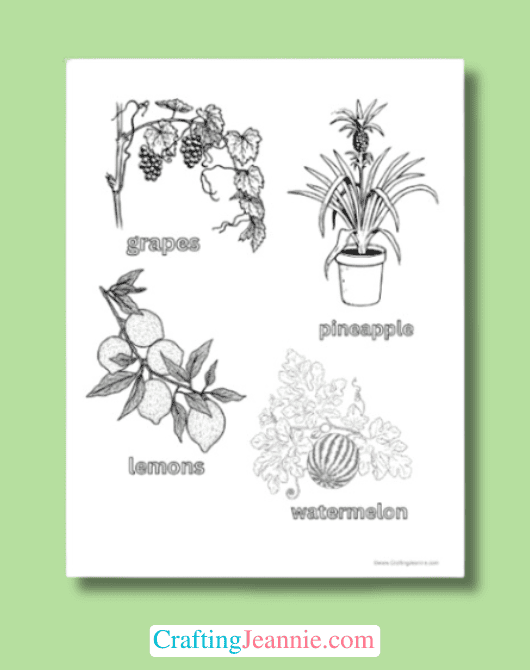fruit coloring pages